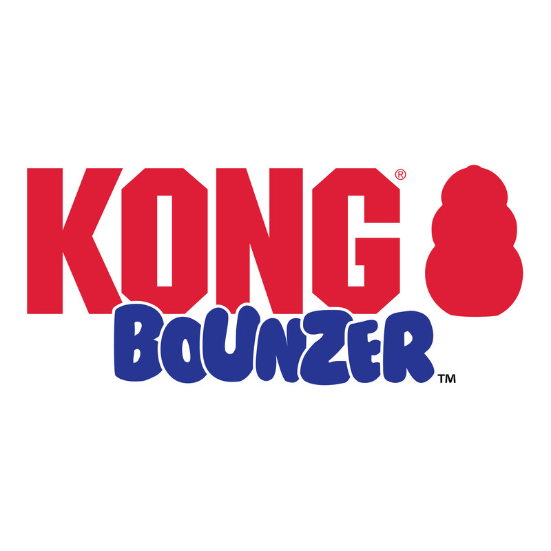 Kong® Bounzer