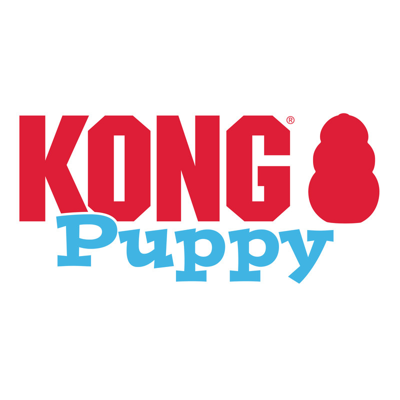 KONG Puppy für Welpen XS Hellblau