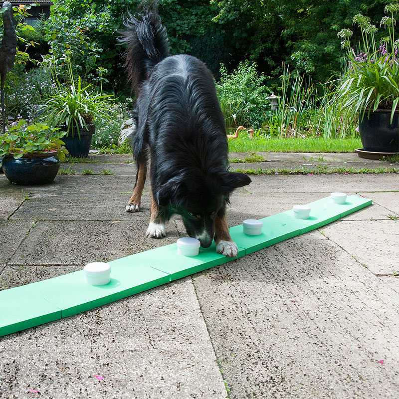 Schnüffelspaß Matte für Spürnasen Hundetraining Dog Agility in grün