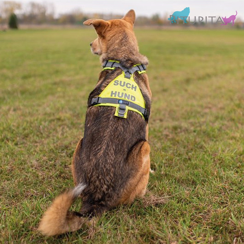 AnnyX Brustgeschirr Protect leuchtgelb grau Suchhund