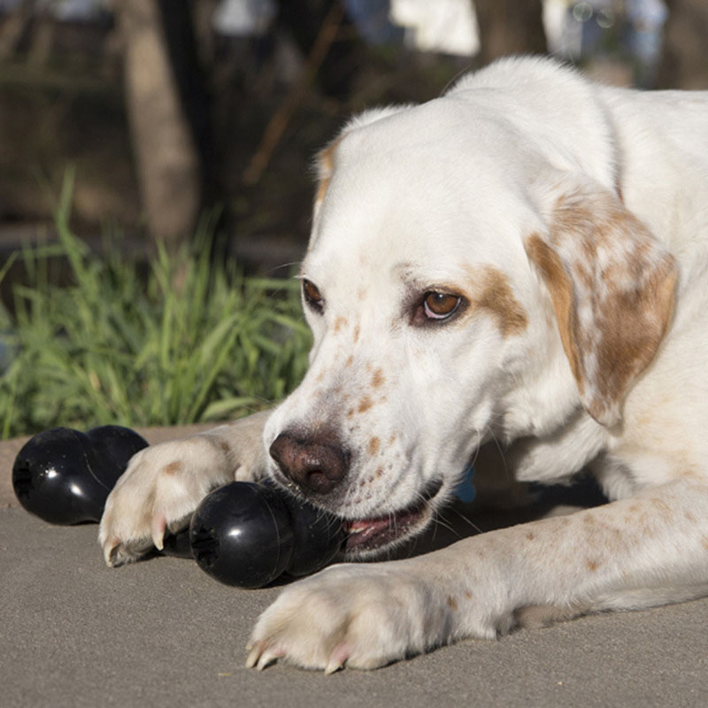 KONG Extreme Goodie Bone schwarz