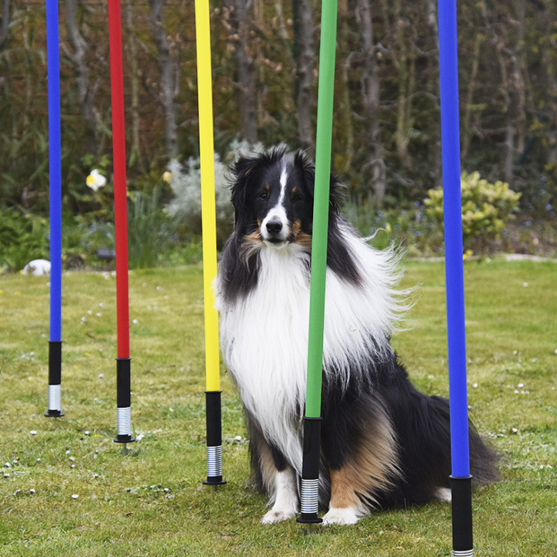 Slalom Stange 100cm Cavaletti Hundesport Hundetraining agility flexibel div. Farben