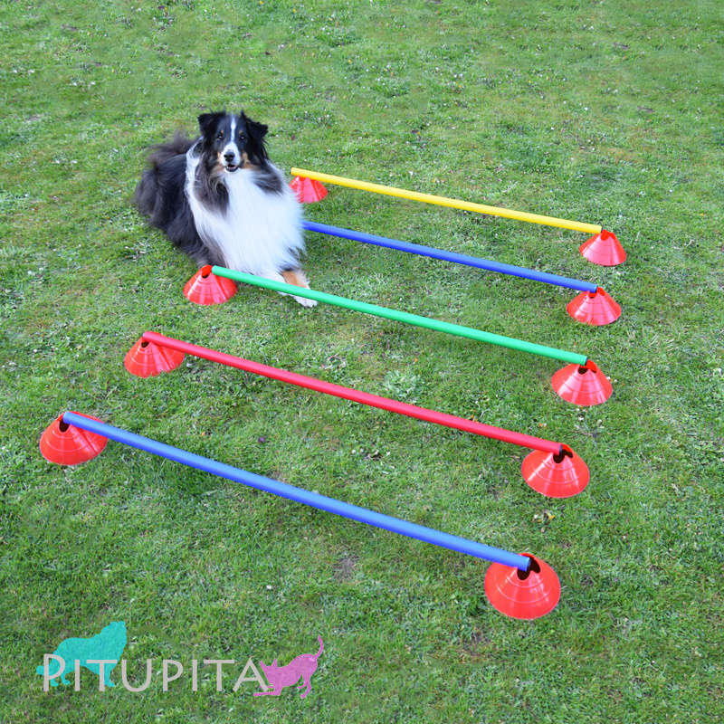 Hürden Set Cavaletti Agility Hundetraining 100cm ROT BLAU