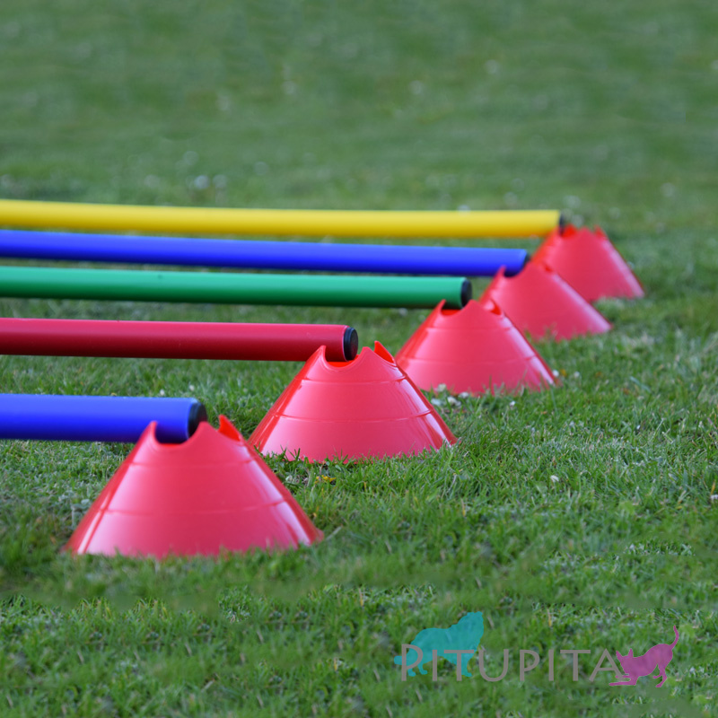 Hürden Set Cavaletti Agility Hundetraining 100cm ROT BLAU