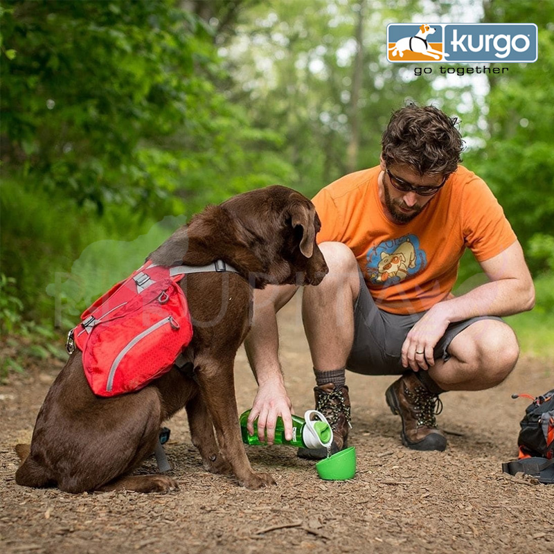 Kurgo Gourd H2O Trinkflasche und Trinknapf 2 in 1 GRÜN