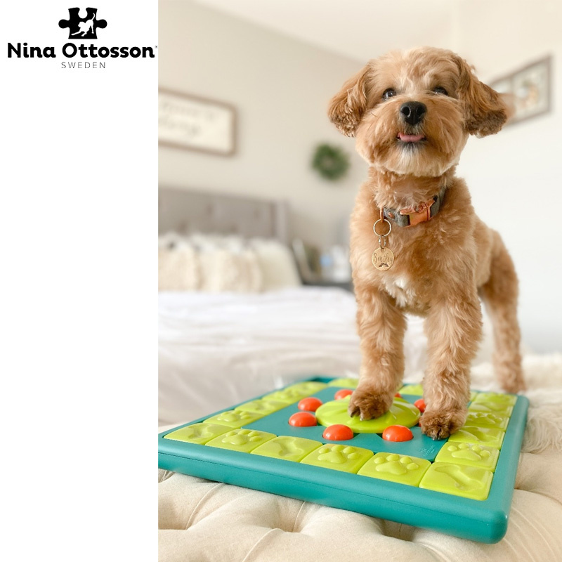 Nina Ottosson Multi Puzzle Intelligenzspielzeug LEVEL 4