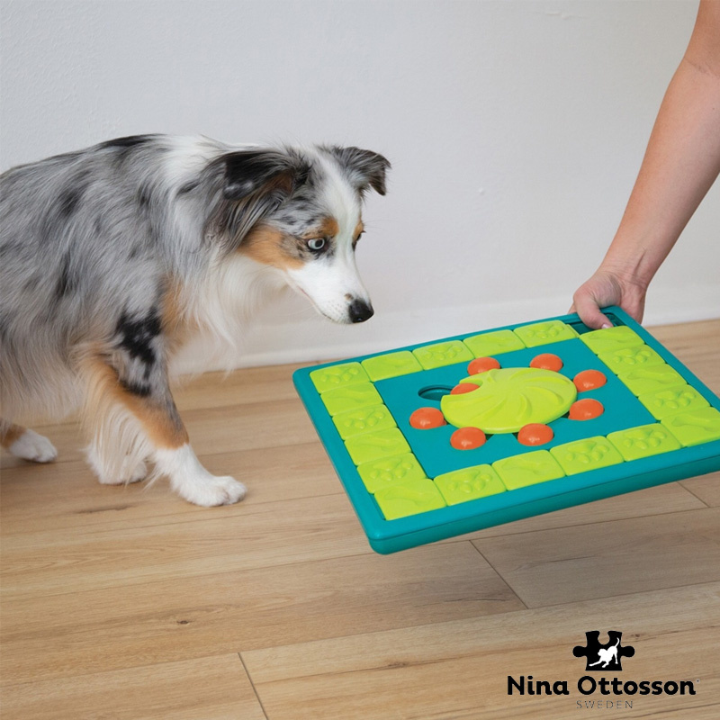 Nina Ottosson Multi Puzzle Intelligenzspielzeug LEVEL 4