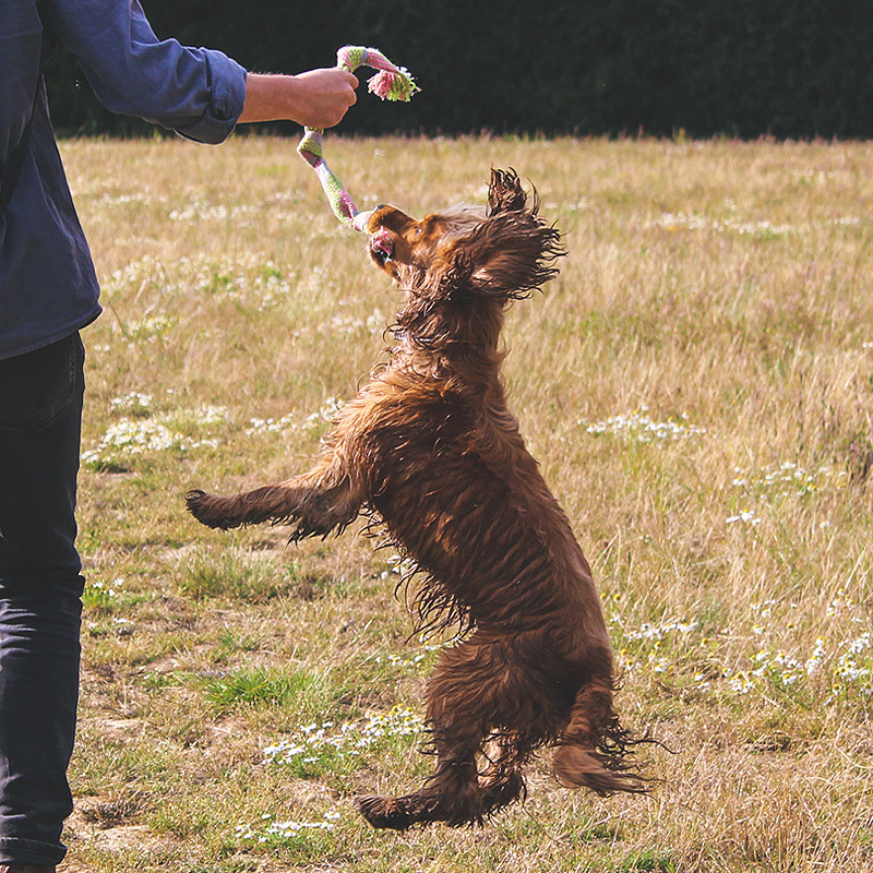 BecoPets Hemp Squeaker Seil mit Knoten und Quitscher