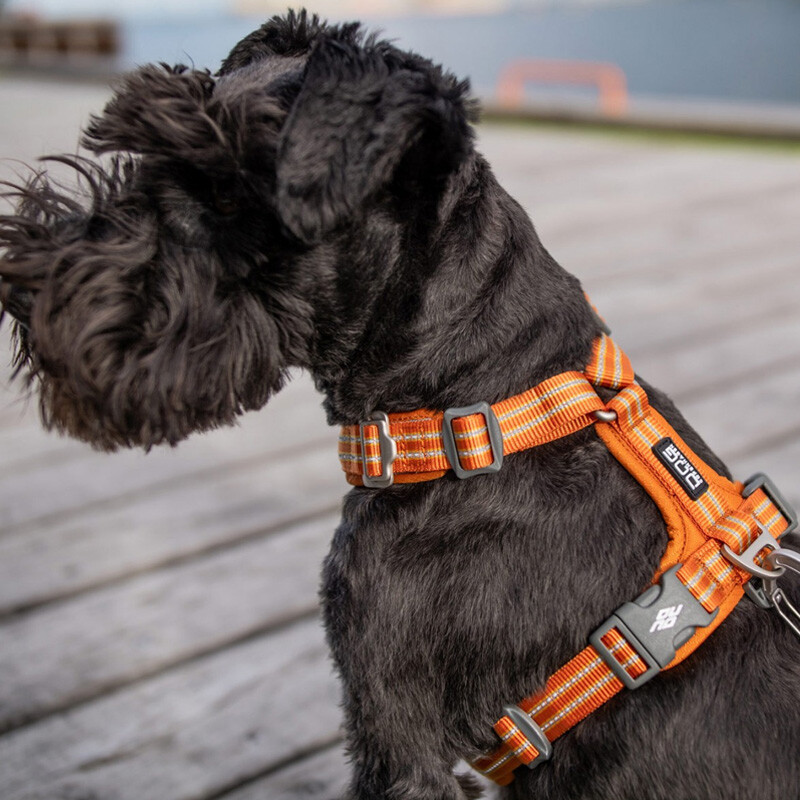 DOG Copenhagen Walk Harness Air Geschirr schwarz black V2