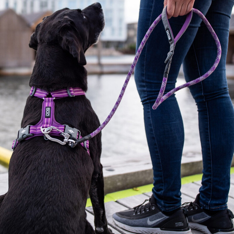 DOG Copenhagen Walk Harness Air Geschirr blau Ocean Blue V2