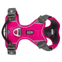 DOG Copenhagen Comfort Walk Pro V2 Geschirr pink Wild Rose