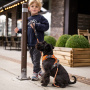 DOG Copenhagen Comfort Walk Pro V2 Geschirr blau Ocean Blue