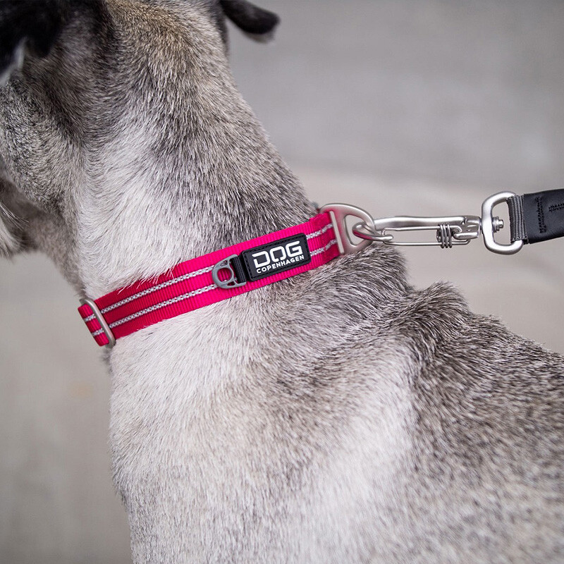 DOG Copenhagen Halsband Urban Style V2 Wild Rose pink