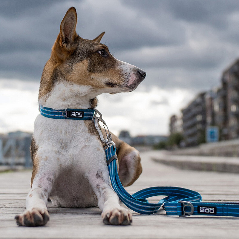 DOG Copenhagen Halsband Urban Style V2 Mocca braun