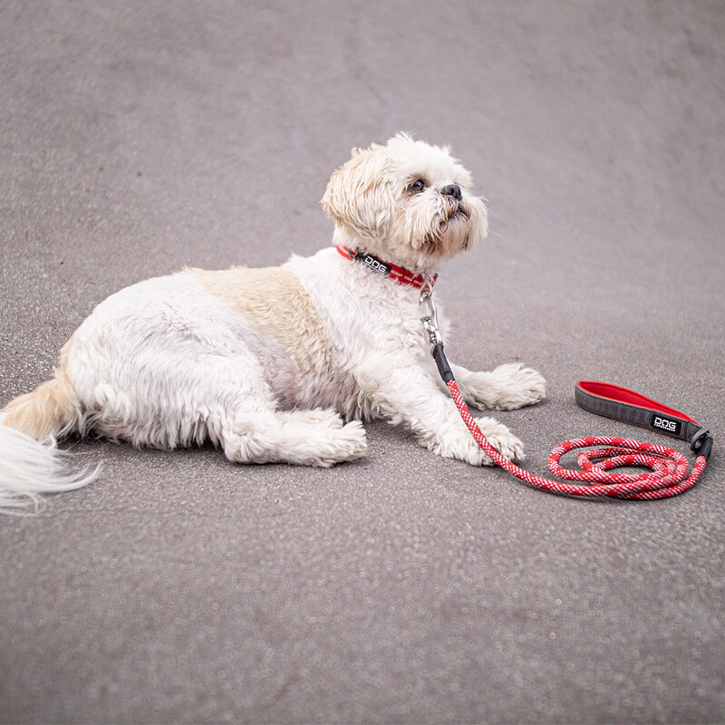 DOG Copenhagen Halsband Urban Style V2 Orange Sun orange