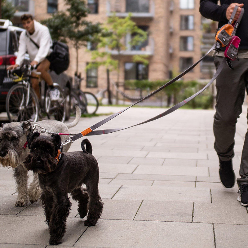 DOG Copenhagen Leine Führleine Urban Trail V2 Classic Red rot