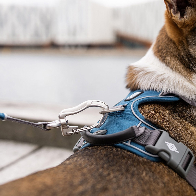 DOG Copenhagen Leine Führleine Urban Trail V2 Oceab Blue blau