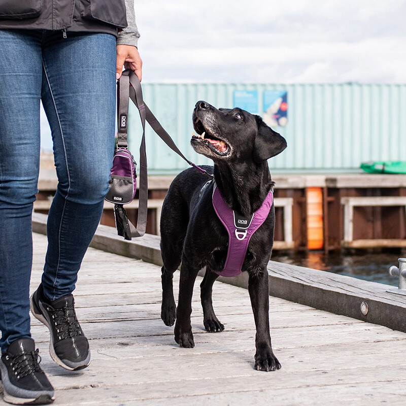 DOG Copenhagen Leine Führleine Urban Trail V2 Oceab Blue blau