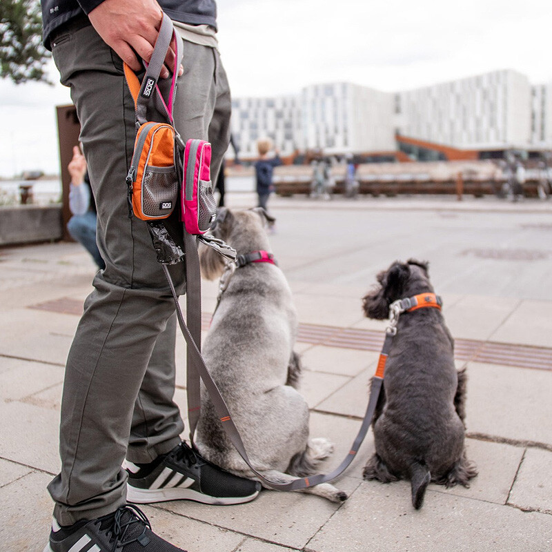 DOG Copenhagen Leine Führleine Urban Trail V2 Orange Sun orange