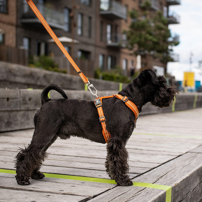 Dog Copenhagen Leine Führleine Urban Freestyle V2 Black schwarz