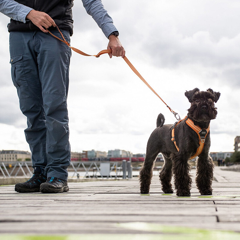 Dog Copenhagen Leine Führleine Urban Freestyle V2 Black schwarz