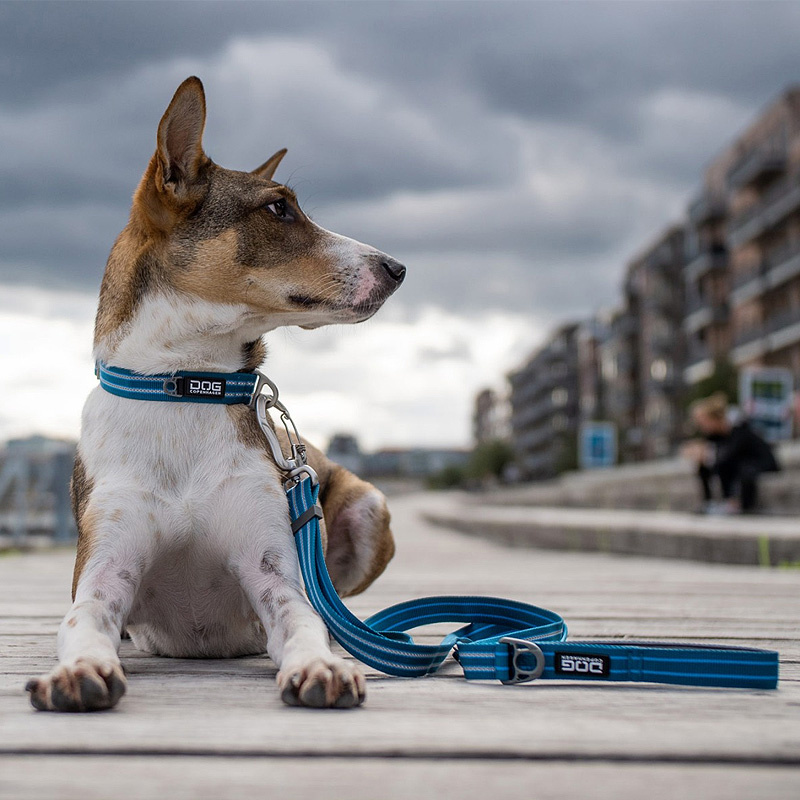 Dog Copenhagen Leine Führleine Urban Freestyle V2 Hunting Green grün