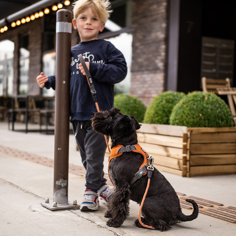 Dog Copenhagen Leine Führleine Urban Rope Mocca braun