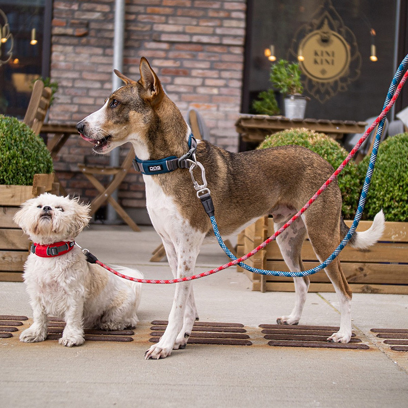 Dog Copenhagen Leine Führleine Urban Rope Mocca braun