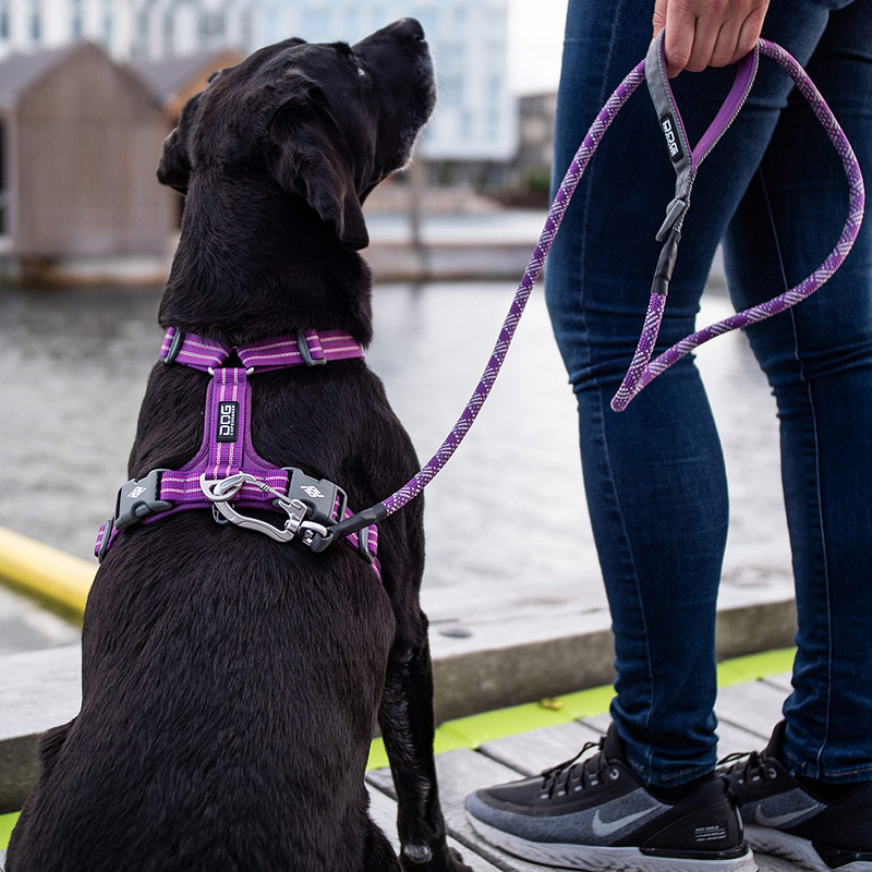 Dog Copenhagen Leine Führleine Urban Rope Mocca braun