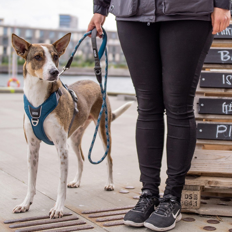 Dog Copenhagen Leine Führleine Urban Rope Mocca braun