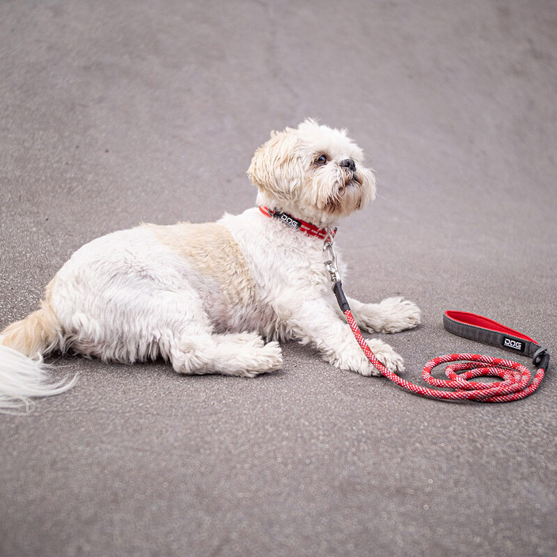 Dog Copenhagen Leine Führleine Urban Rope Wild Rose pink