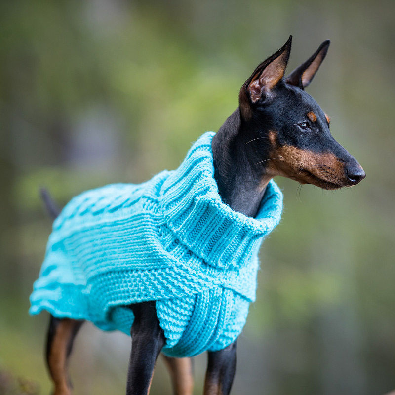 Rukka Pets Strickpullover WOOLY blau hellblau