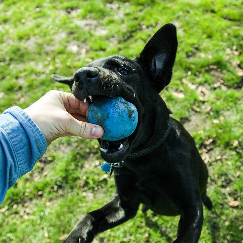 BecoPets Snackspielzeug Beco Ball  blau S