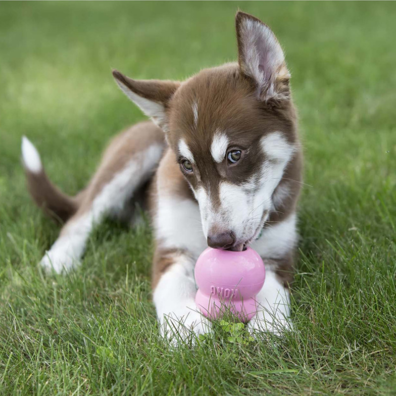 KONG Easy Treat Hundesnack für Welpen Puppy zum sprühen