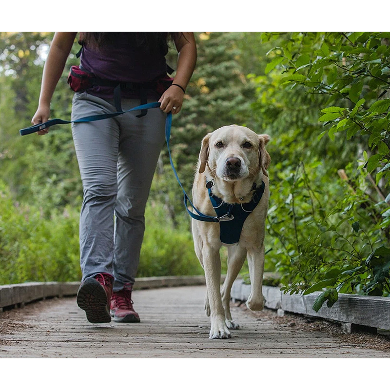 Ruffwear Front Range Brustgeschirr Blue Moon / blau dunkel