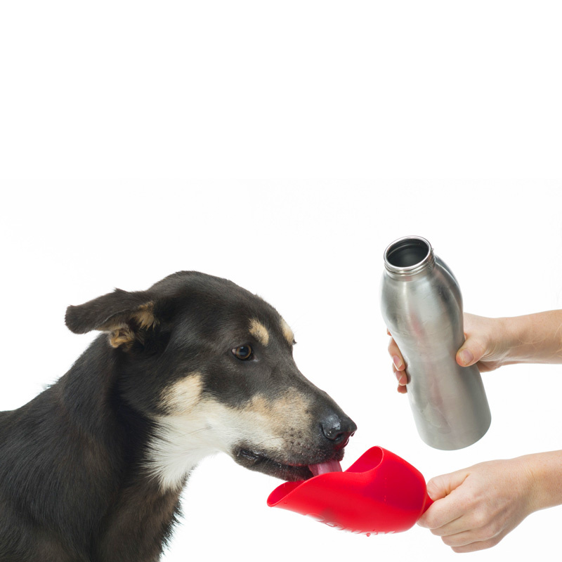 KONG H2O isolierte Trinkflasche und Trinknapf 2 in 1 ROT