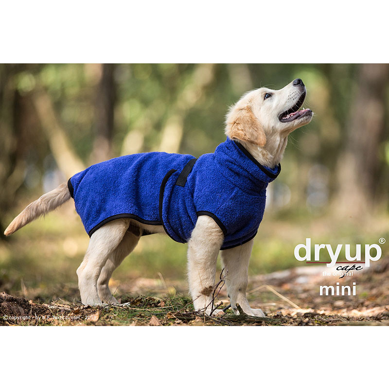 DryUp Trocken Cape Hundebademantel MINI für kleine Hunde in blueberry blau