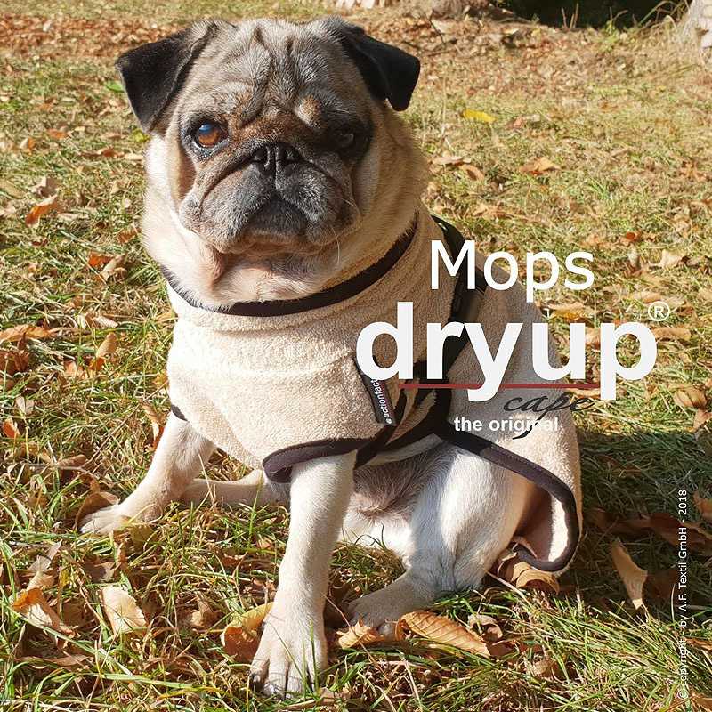 DryUp Trocken Cape Hundebademantel für Mops Bulldogge in sand beige