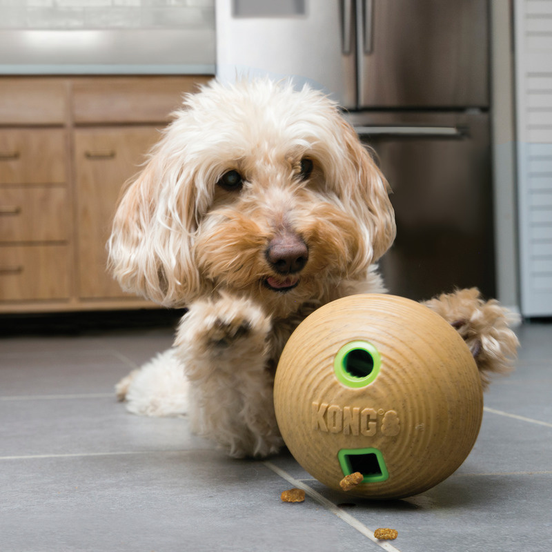 KONG Bamboo Leckerchen Spender Intelligenzspielzeug