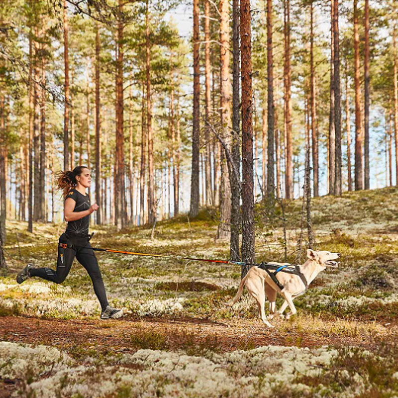 Non-stop dogwear Zuggeschirr Laufgeschirr Sportgeschirr Freemotion