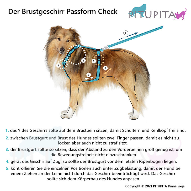 Non-stop dogwear Ramble Brustgeschirr Hundegeschirr in grün