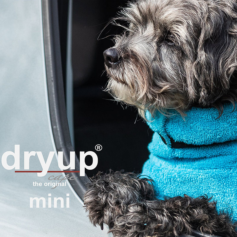 DryUp Trocken Cape Hundebademantel MINI für kleine Hunde in cyan hellblau 30cm Rückenlänge