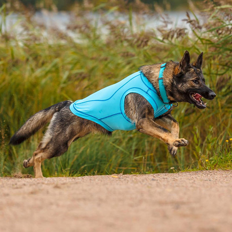 Rukka Pets UV T-Shirt Sonnenschutz Chilly  für den Hund in blau LSF 50+