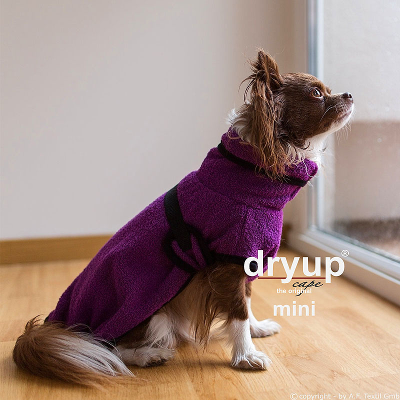 DryUp Trocken Cape Hundebademantel MINI für kleine Hunde in bilberry lila violett