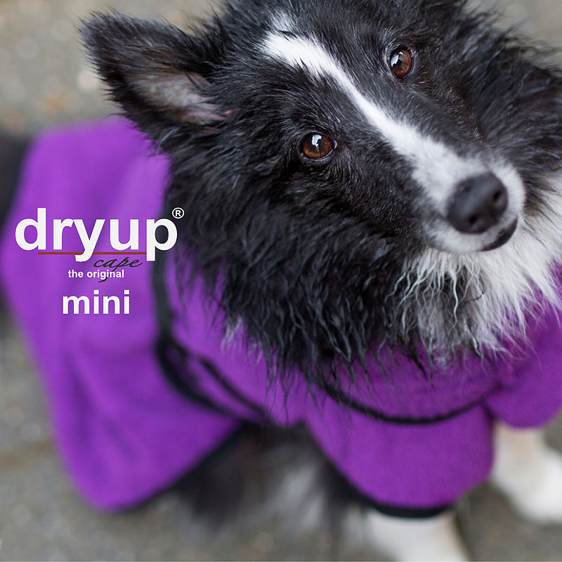 DryUp Trocken Cape Hundebademantel MINI für kleine Hunde in bilberry lila violett