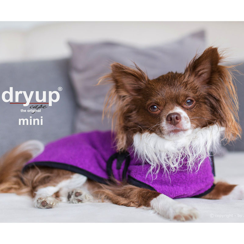 DryUp Trocken Cape Hundebademantel MINI für kleine Hunde in bilberry lila violett