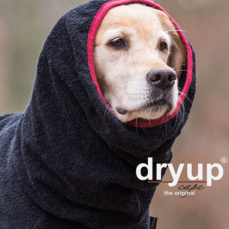 DryUp Trocken Cape Bademantel für Hunde in black schwarz XS 48cm - PI