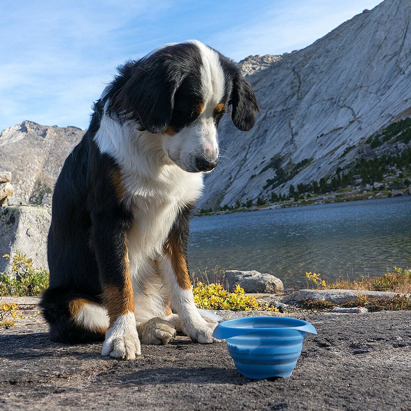 Kurgo Reisenapf faltbar Collaps a bowl BLAU