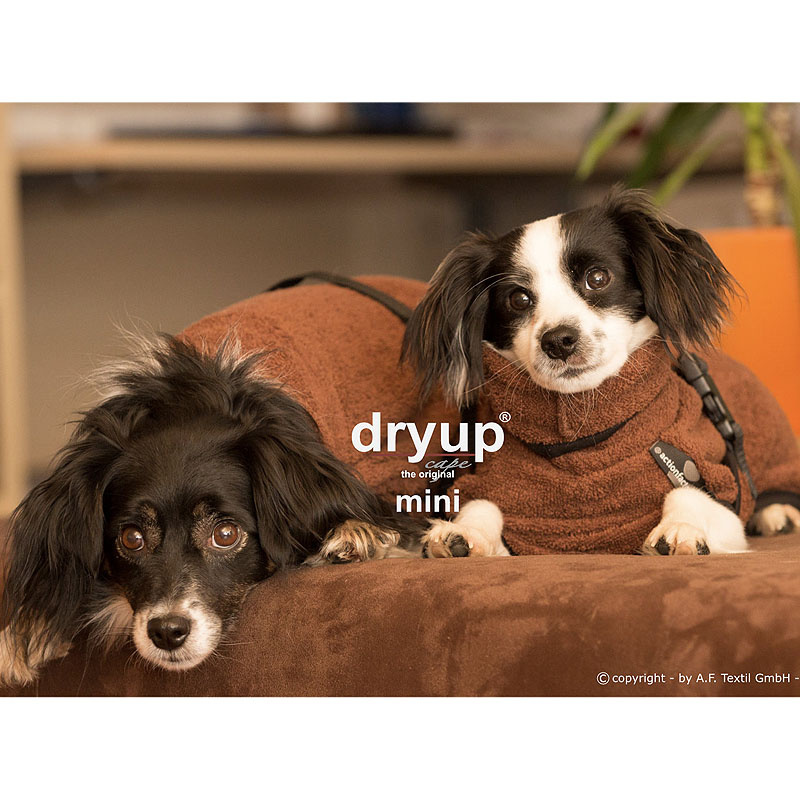 DryUp Trocken Cape Hundebademantel MINI für kleine Hunde in braun brown