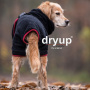 DryUp Trocken Cape Hundebademantel in braun brown XL 70cm